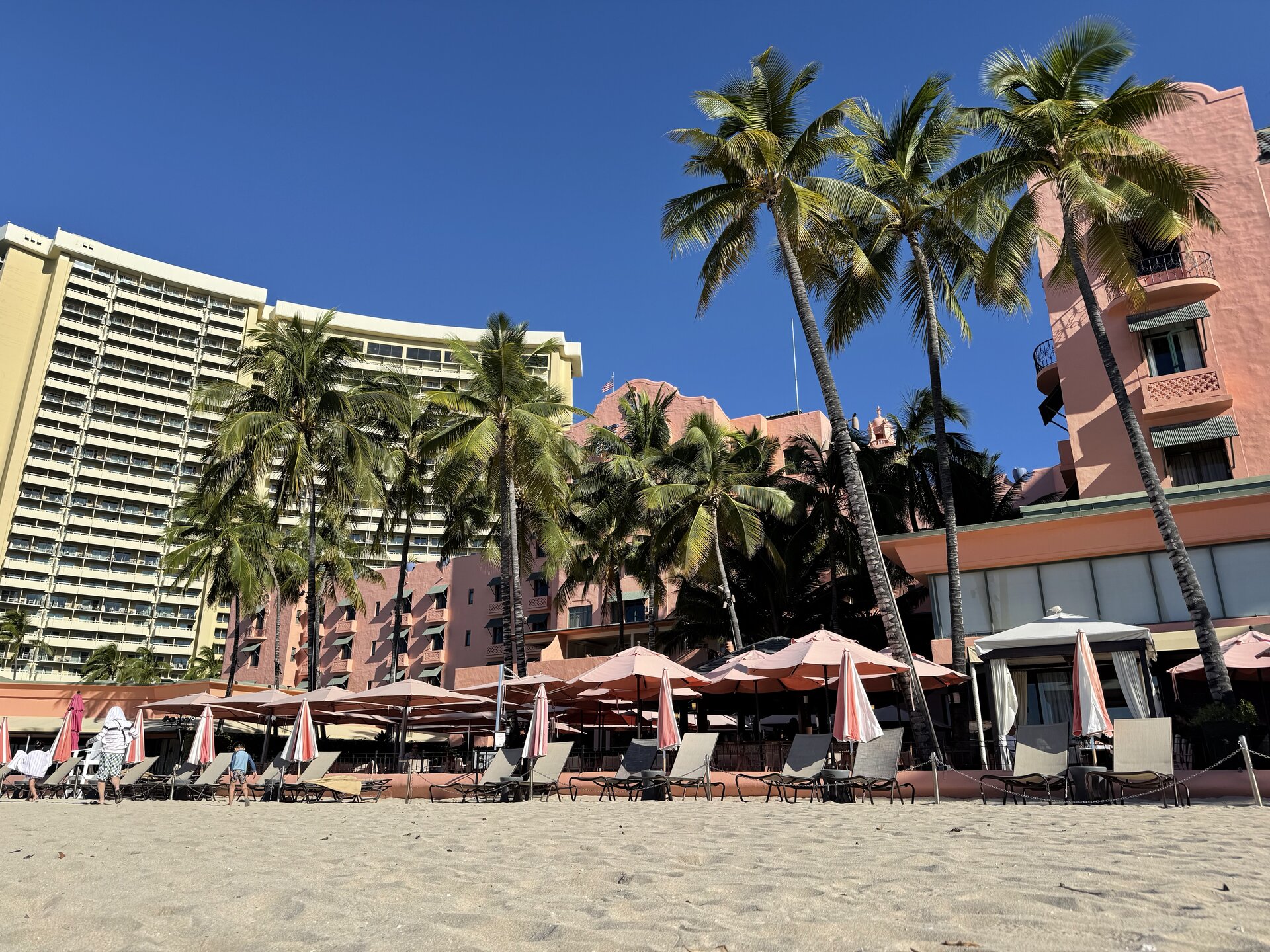 Palm trees and a pink beachfront hotel in Honolulu, Hawaii
